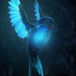 Meet your Posher, Kory